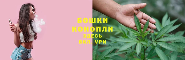 мяу мяу мука Гусиноозёрск