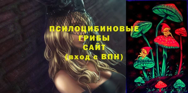 мяу мяу мука Гусиноозёрск