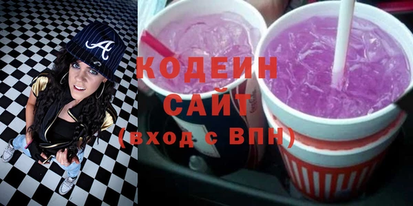 индика Ельня
