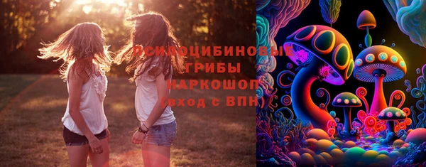 мяу мяу мука Гусиноозёрск