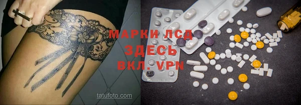 мяу мяу мука Гусев
